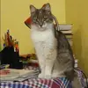 Отзыв от Инна Дроздова